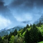 Bp Groeit, Benzine, Climate Goals, Brandstof, And More