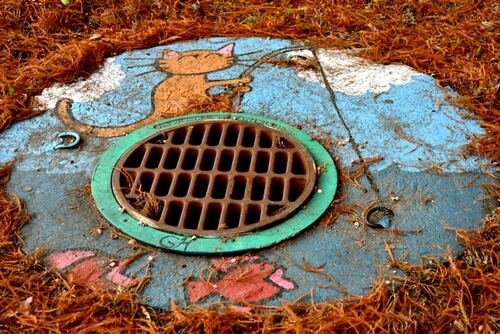Why Schedule Regular Maintenance with Plumbing Services for Blocked Drains